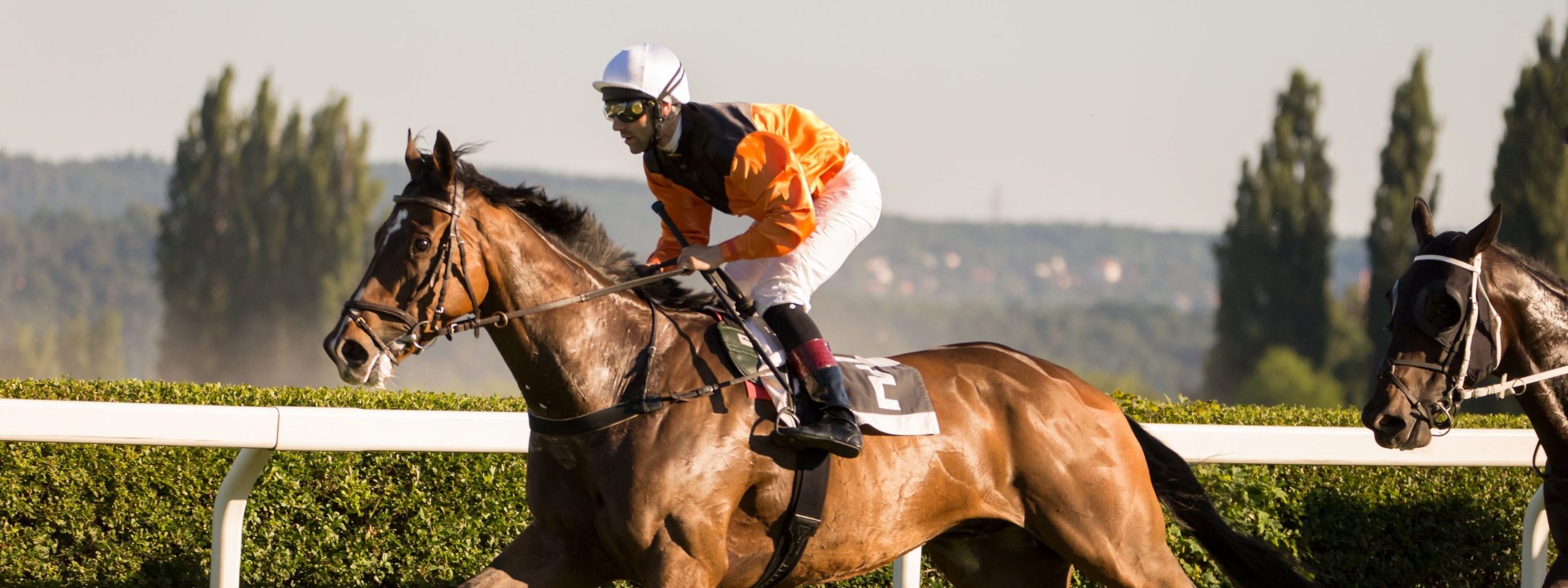 Goodwood Racecourse Hospitality